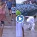 Fans-playing-cricket
