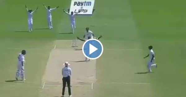 Mayank-Agarwal-Wicket
