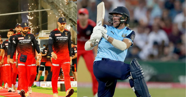 David-Willey-RCB