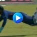 Sanju-Samson-catch