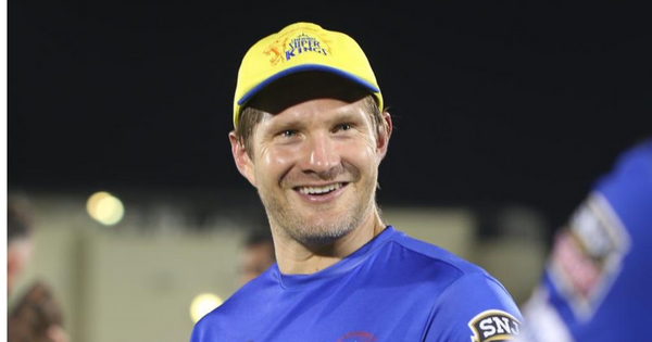 shane watson