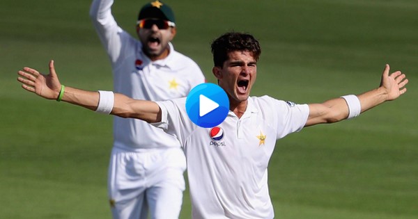 Shaheen-Afridi