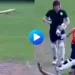 Cricket-Video