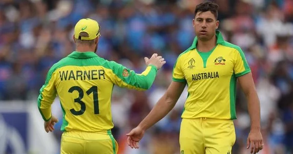 David-Warner-And-Marcus-Stoinis