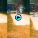 Cricket-Viral-Video