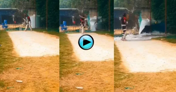 Cricket-Viral-Video